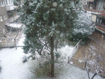 Este es el panorama que me encontré ayer a las 8 de la mañana cuando me levanté. Madrid nevado. Por la tarde vi a la gente disfrutar del Retiro.